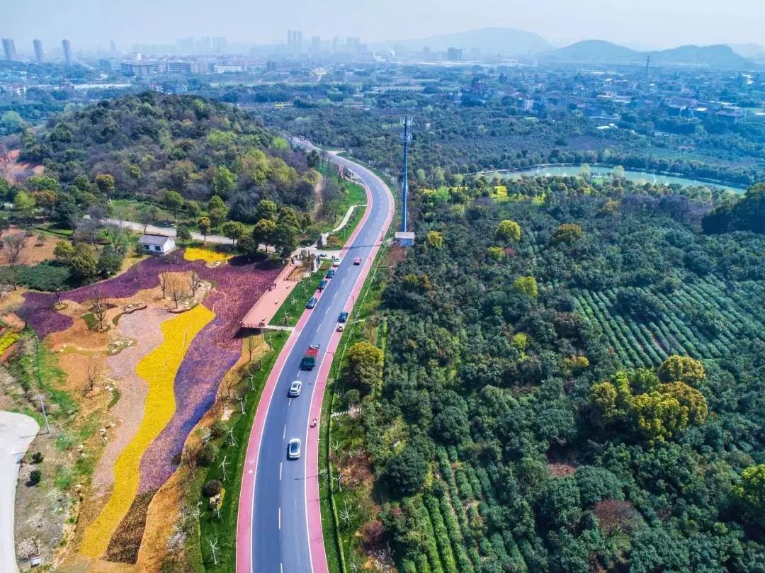 探索隐藏宝藏,7m最新路一小店的独特魅力