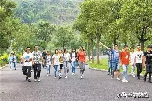 金堂最新发布的消息,金堂最新发布的消息，如何完成某项任务或学习某种技能的详细步骤指南