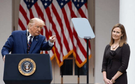 巴雷特法官参议院最新,巴雷特法官参议院最新动态，一场心灵与自然的美景之旅