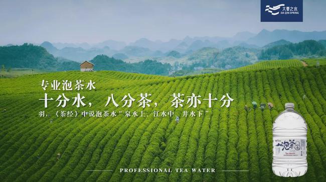 大秦之水最新动态更新