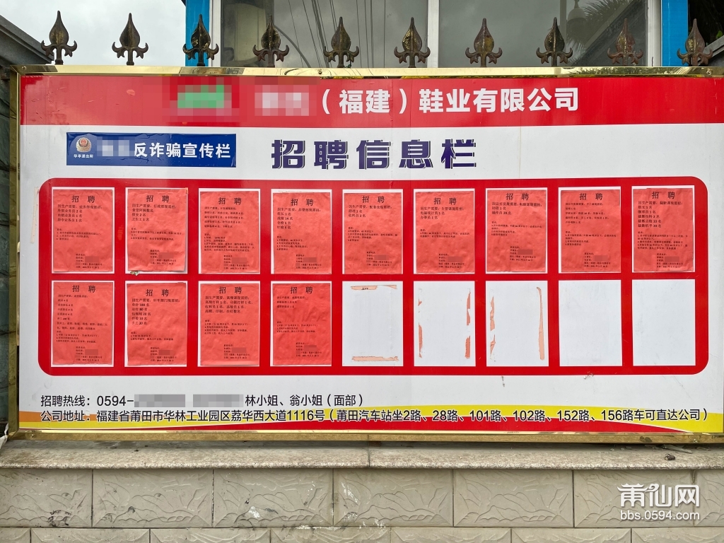 福州最新招聘网,福州最新招聘网的观点论述