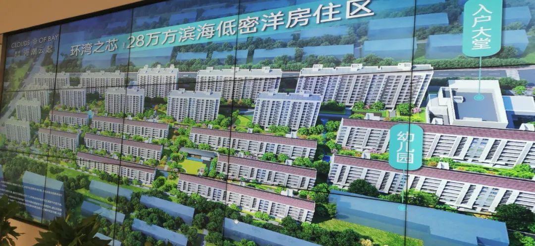 安家最新一期揭秘,小巷中的特色小店,惊喜连连!