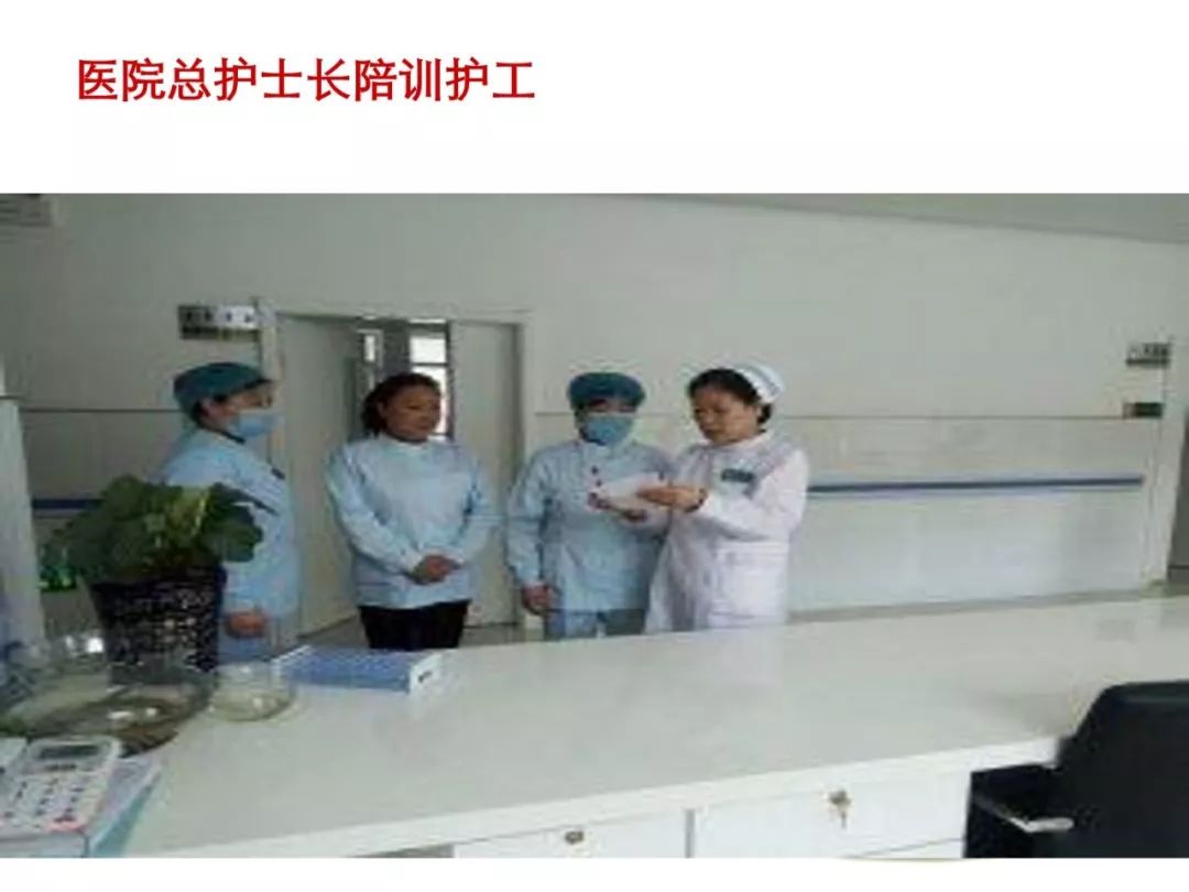 最新进展护理步骤指南,全面解析护理流程与要点