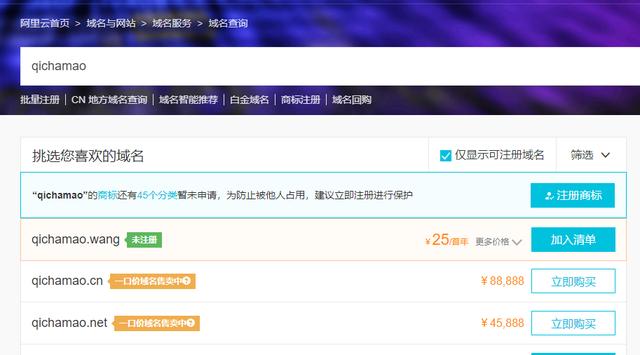 猫咪最新域名地址网站，小巷中的意外惊喜探索