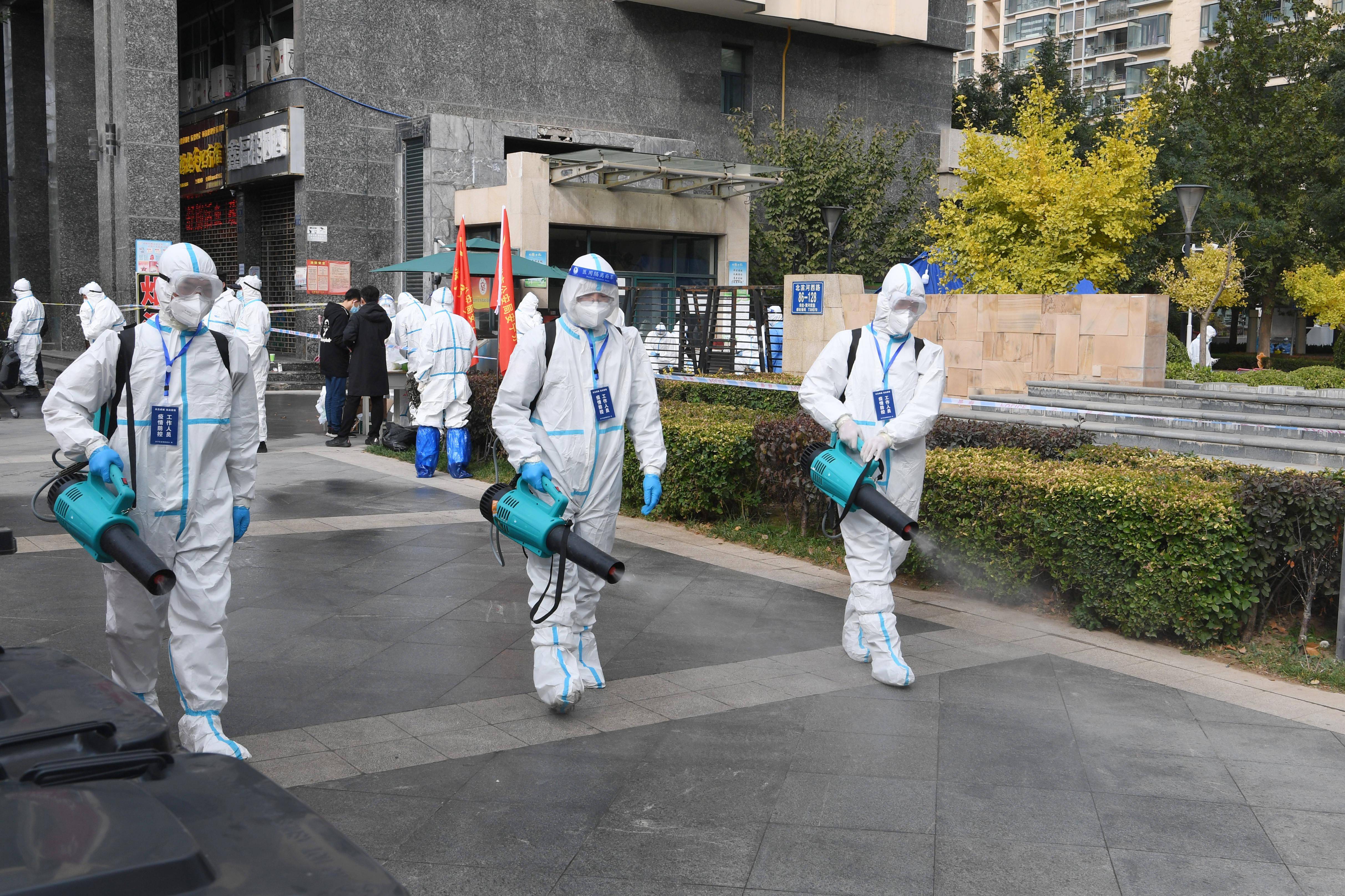 烟台疫情10月最新状况,烟台疫情10月最新状况,大自然中的微笑与旅行的治愈力量