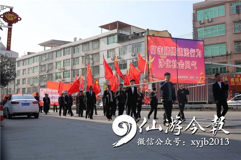 郊尾最新消息,郊尾最新消息,一场自然美景的探索之旅,寻找内心的平和与宁静