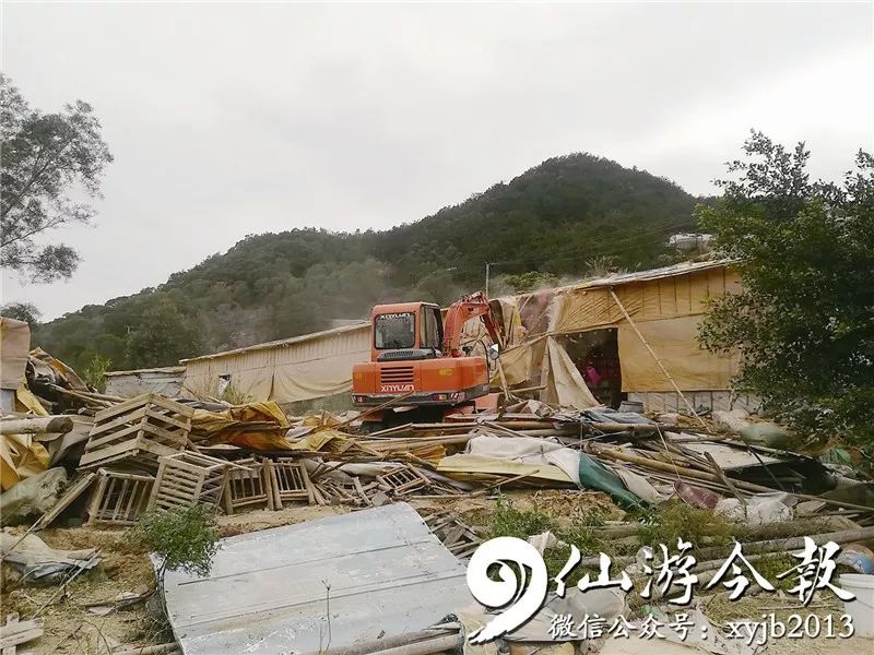 郊尾最新消息,郊尾最新消息,一种观点的分析与阐述