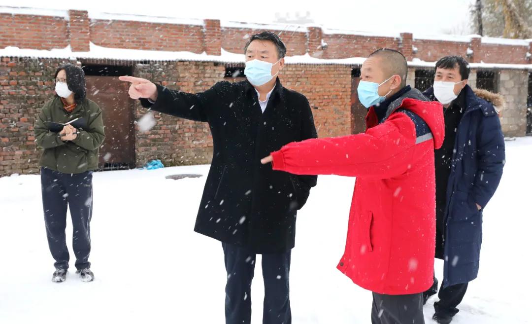 冬季疫情最新动态,全面防护指南与最新消息速递