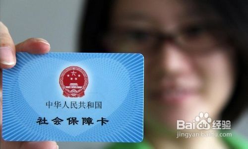 社保融券最新动态,与自然邂逅,探寻内心平静与喜悦之路