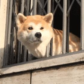 流量君在线观看最新电影,流量君在线观看最新电影,一场心灵的旅行