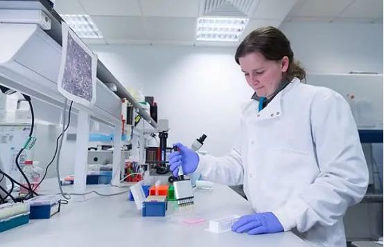 欧洲新冠疫情最新动态与巷弄深处的抗疫故事及独特风味