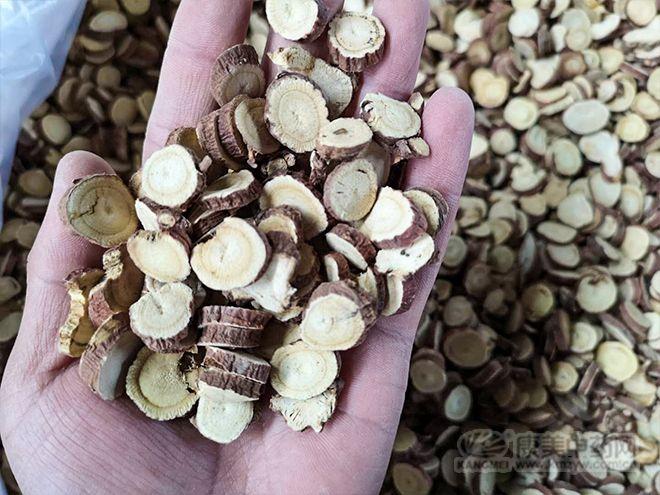 党参价格动态,党参价格动态,一场寻找内心平静的旅行