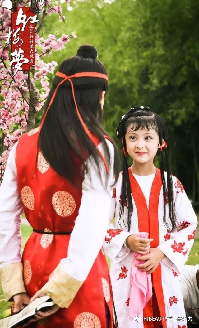 小戏骨红楼梦演员,小戏骨红楼梦演员,演绎经典传承文化