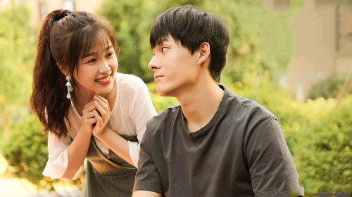 幸福演员表详解,一步步带你了解角色与演员的幸福之旅