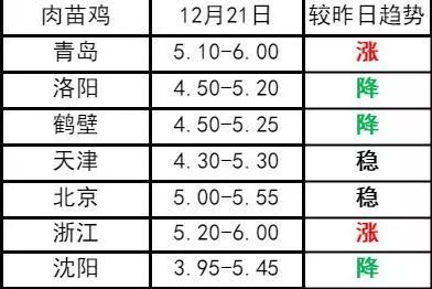 肉鸡行情今日价格解析,多方观点与个人立场探讨