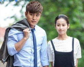 贾乃亮主演电视剧大盘点,自然美景探寻之旅