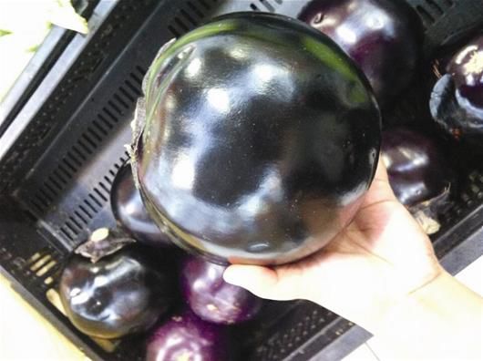 圆茄子行情深度解析与探讨