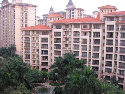 南沙土地拍卖最新动态揭秘，城市热土上的温情故事与地产风云