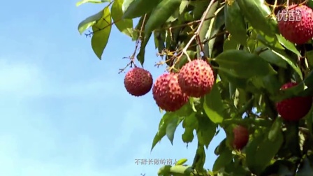 荣乌高速公路新线 第220页