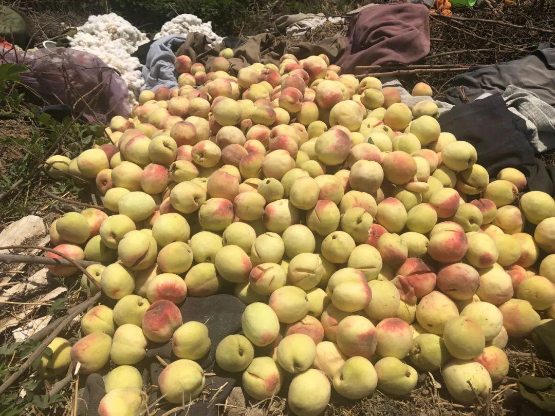 山西疫情最新动态更新