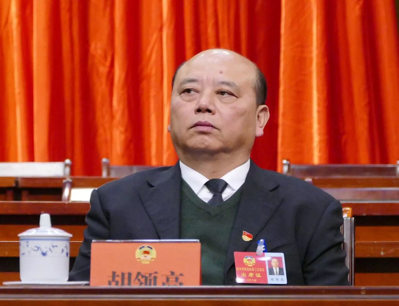 胡善亭最新职务任命，时代印记与领导担当的体现