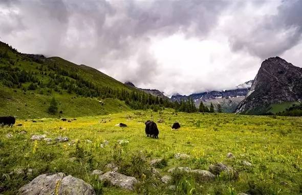 德阿工业园区最新进展与动态更新