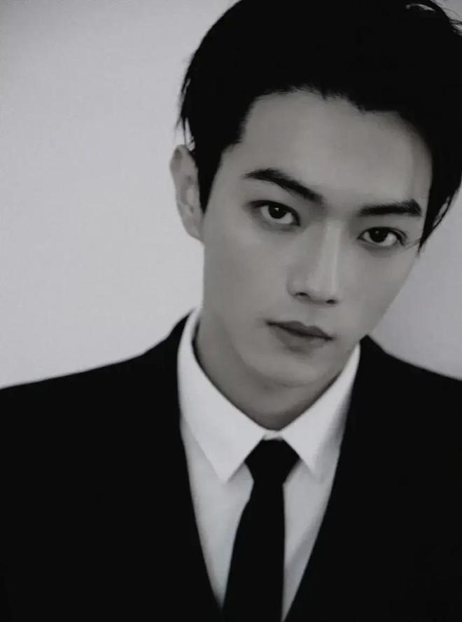 巴基斯坦男明星的魅力,探索影视产业与欣赏指南