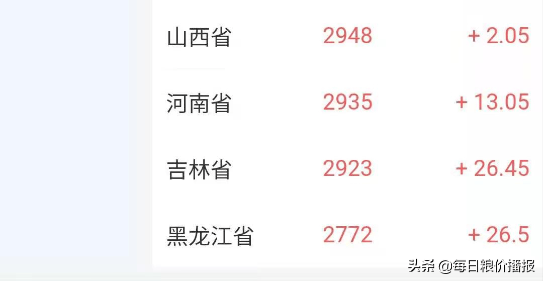 全国玉米最新价格动态及多元因素下的市场走势深度分析