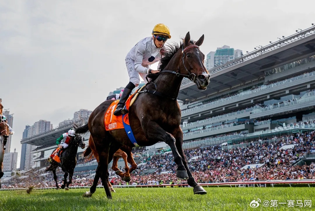 2024香港赛马全年免费资料,安全设计解析说明法_拍照版22.489