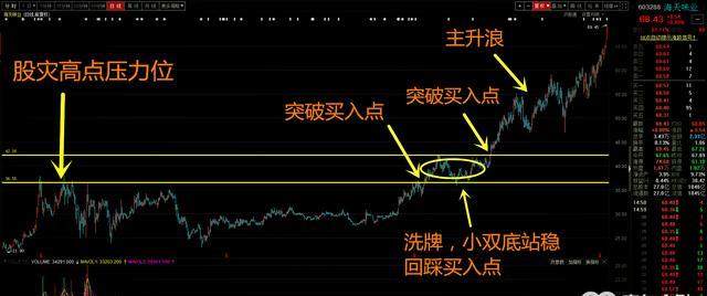 揭秘热门股市行情，深度解析603288股票走势📈