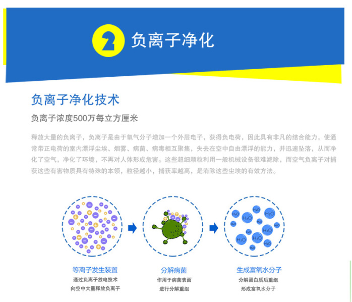 新澳天天开奖资料大全262期,实地研究解答协助_味道版32.270