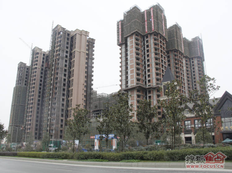 成都保利叶语最新动态揭秘,最新进展与动态更新