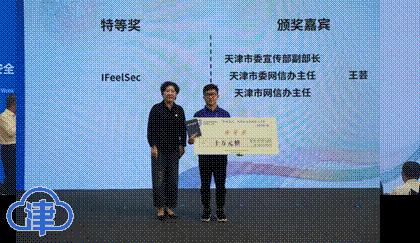 CTF比赛,智慧与勇气的较量,点燃励志之火之旅