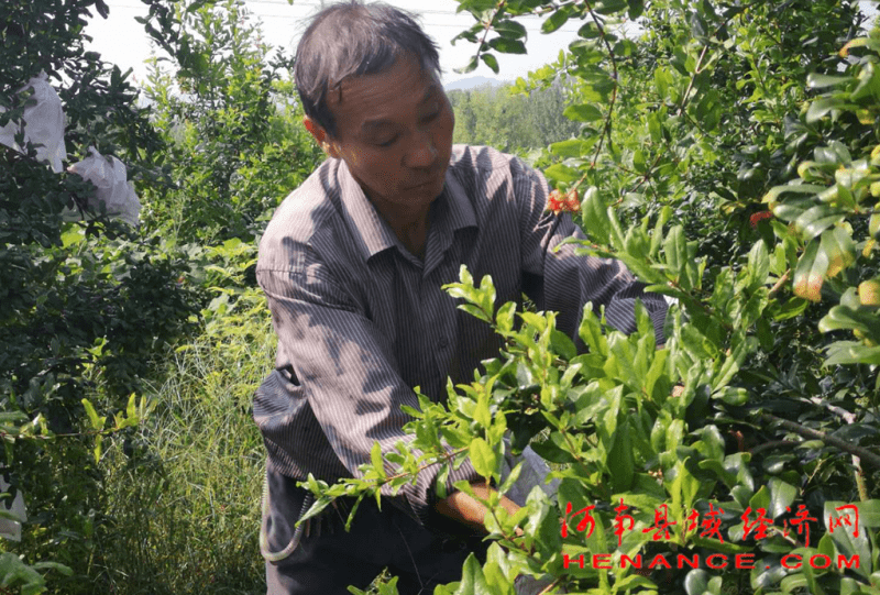 崔庄新鲜事，变化中汲取力量，学习点亮自信之路