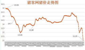 猪行情走势，养猪之旅中的内心平静探寻