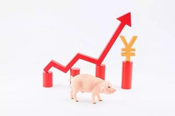 猪行情走势,养猪之旅中的内心平静探寻