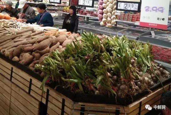 5月上市蔬菜,五月的蔬菜盛宴,繁荣与变迁的见证者