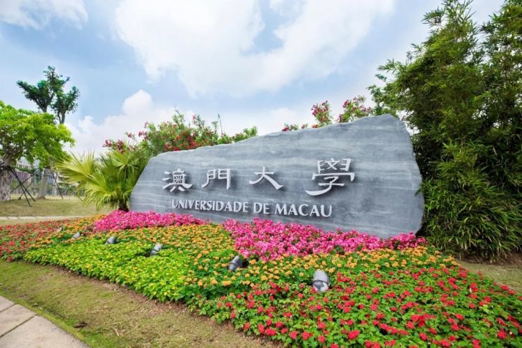 澳门一码一肖一恃一中354期,释意性描述解_掌中版93.113