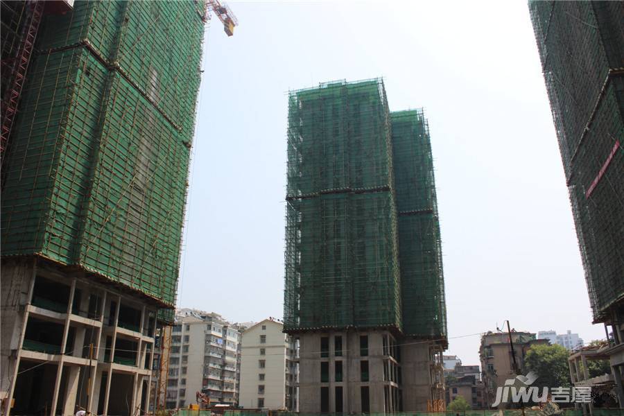 鄂州长江国际最新动态，自然美景探索之旅的愉悦启程