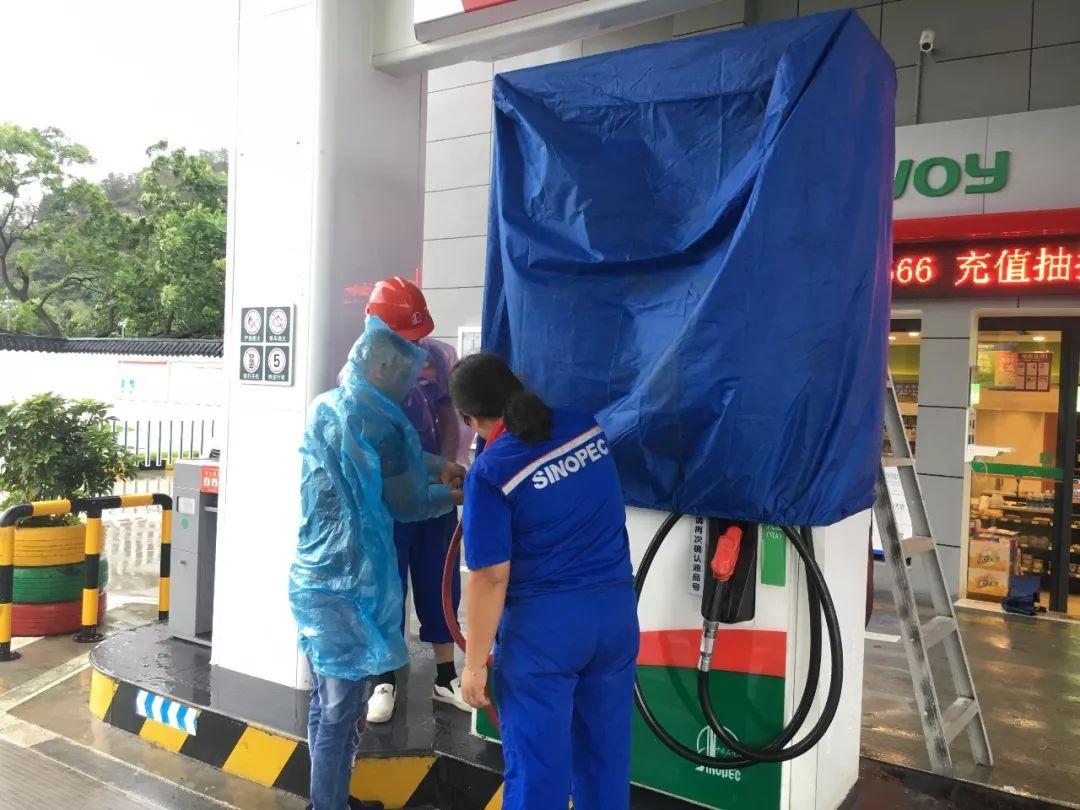 乐清最新一周天气预报更新,气象动态一览无余!