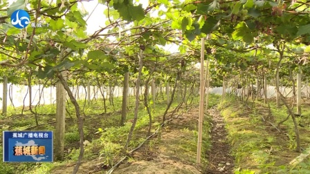 乐昌最新资讯速递