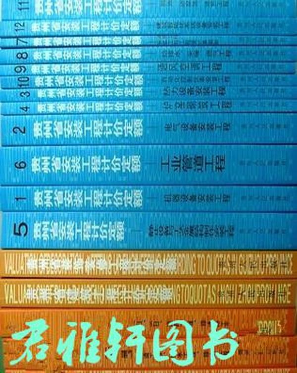 ＂新澳门六2004开奖记录＂的：快速实施解答研究_时空版3.67