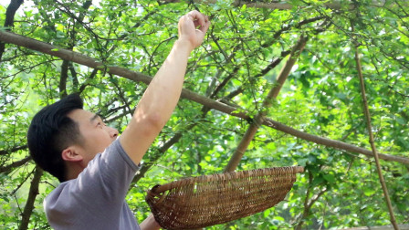 炎陵最新资讯一网打尽!