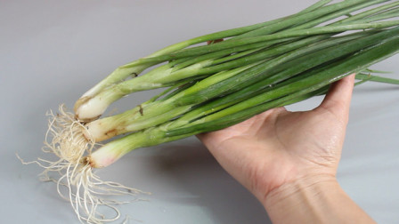 炎陵最新资讯一网打尽!