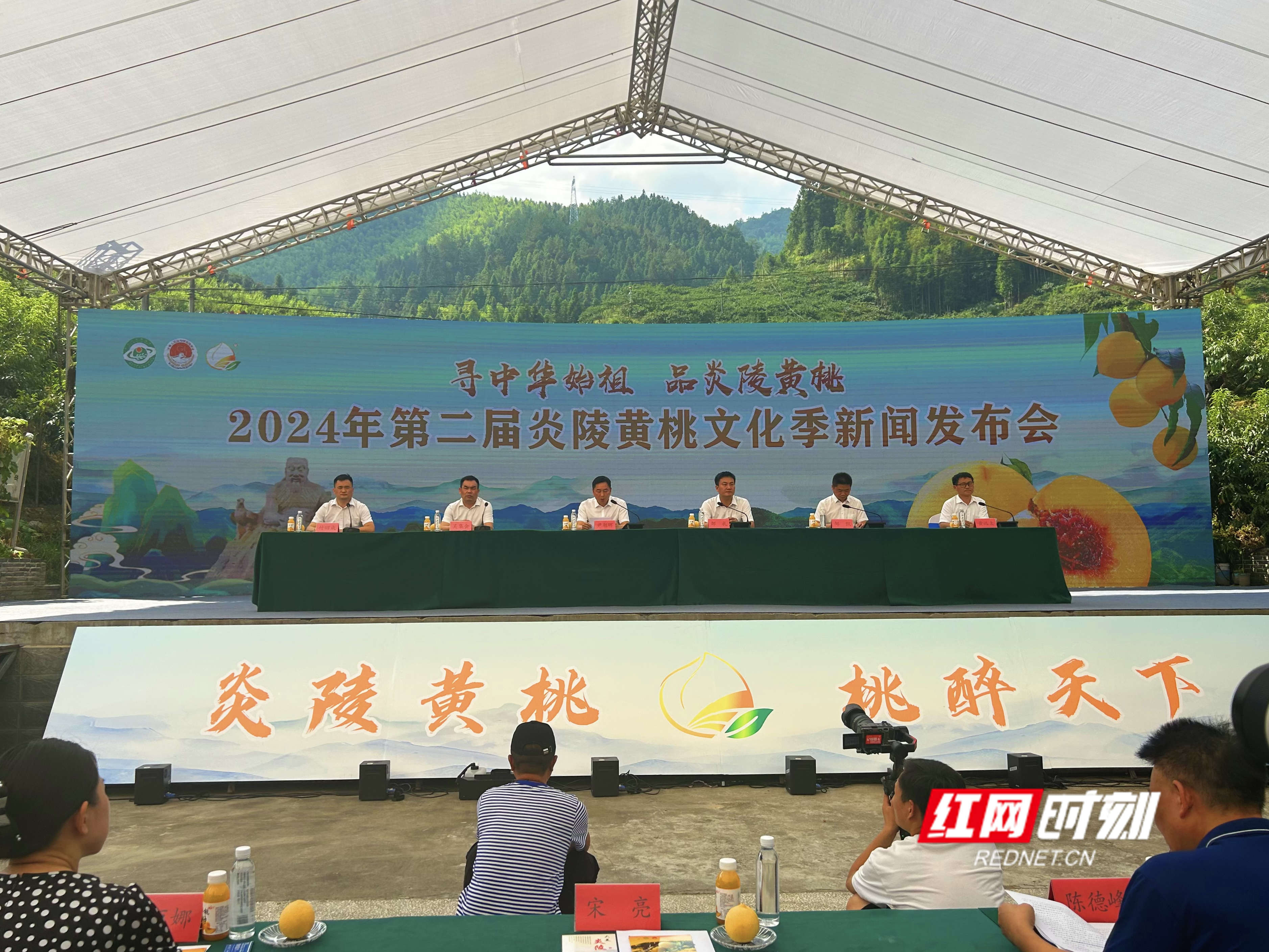 炎陵新鲜资讯,小城的温馨日常动态