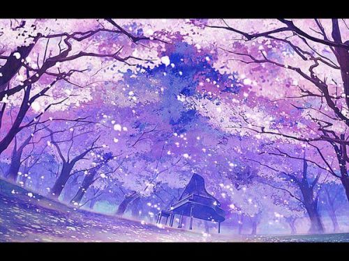 樱花动漫在线看,樱花动漫在线看,探索二次元世界的魅力