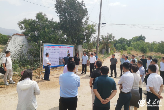 枣庄优质地块最新动态,枣庄优质地块最新动态