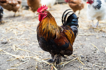 市政设施管理 第137页