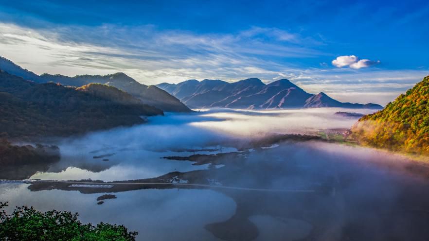 微商最新奇观与朋友圈的温暖日常