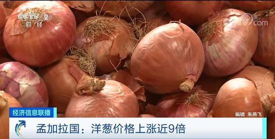 邯郸洋葱价格实时更新及最新行情